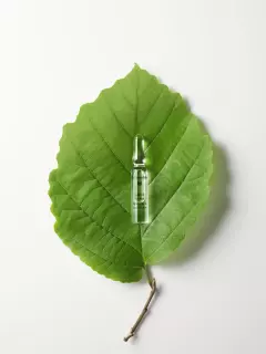 dr-hauschka-rauhoittavat-ja-tasapainottavat-ampullit-28x2-ml-06a1d3c18232d6.jpg